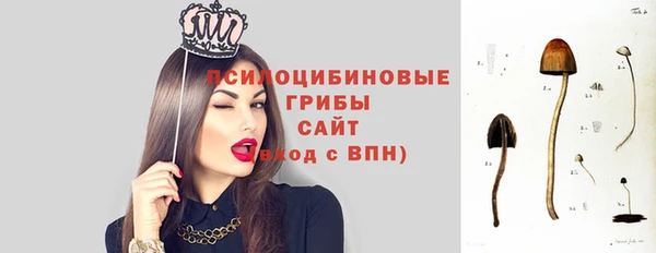 стаф Вязники