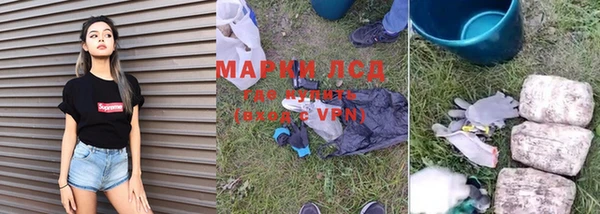 стаф Вязники