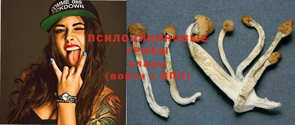 бошки Вязьма