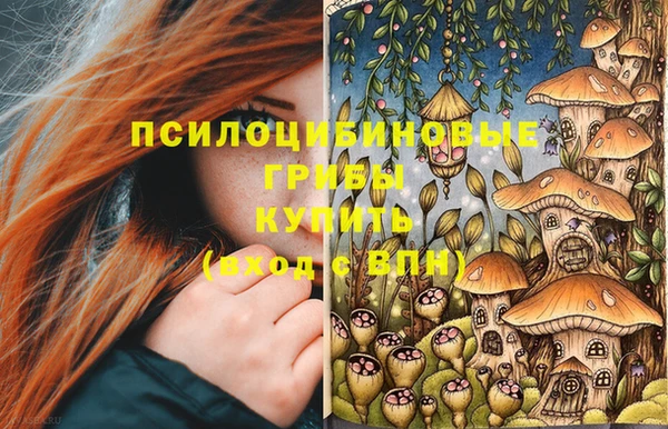 бошки Вязьма