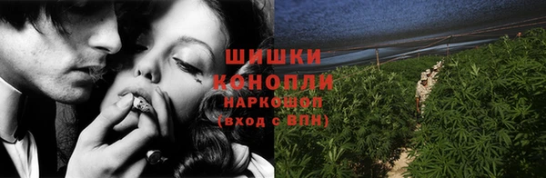стаф Вязники