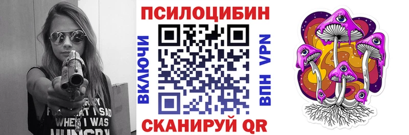 Галлюциногенные грибы Psilocybine cubensis  Купить закладки  Осташков 